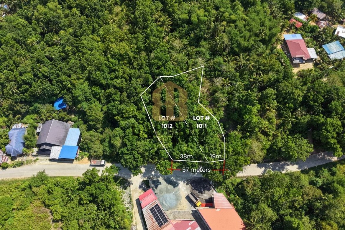 Land for Sale in Salvador, Cortes, Bohol