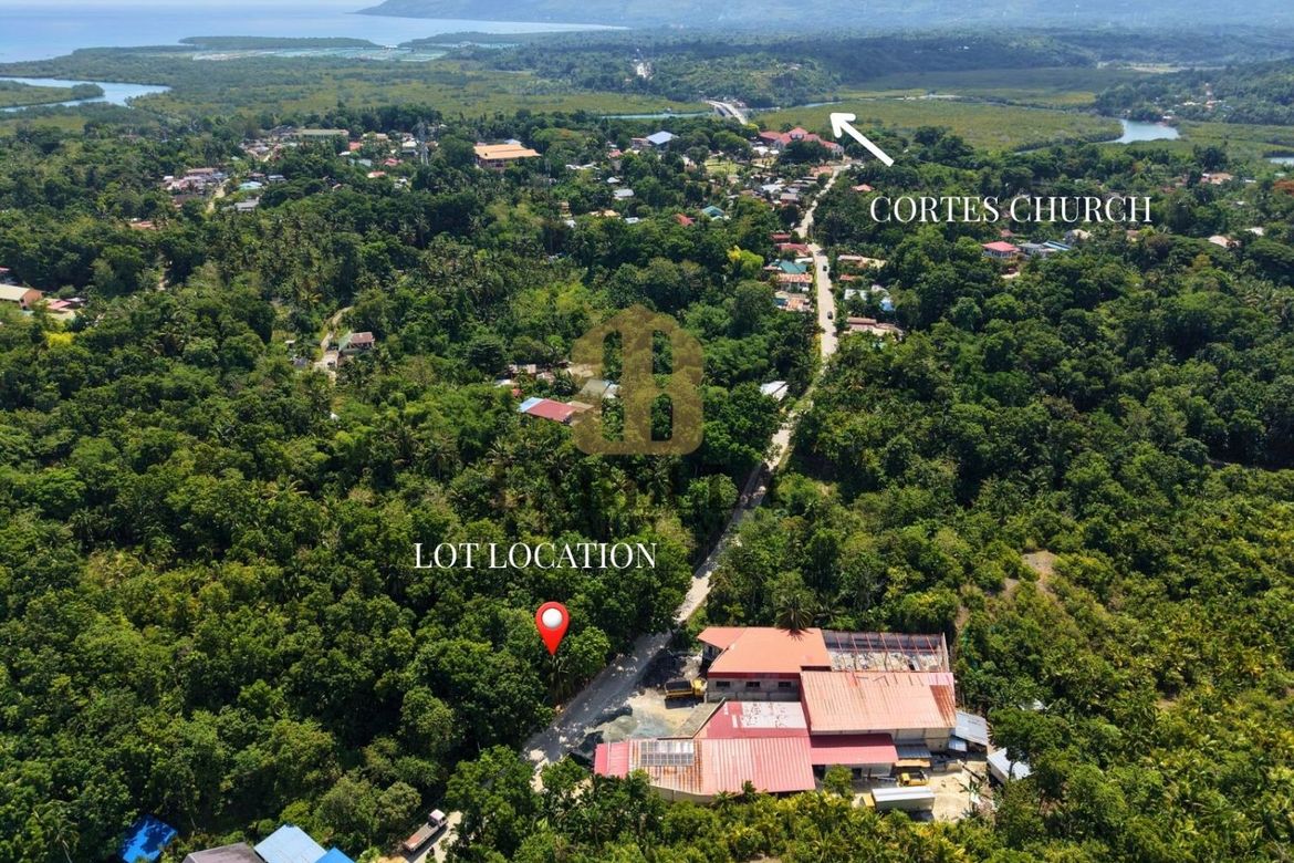Land for Sale in Salvador, Cortes, Bohol – photo 2