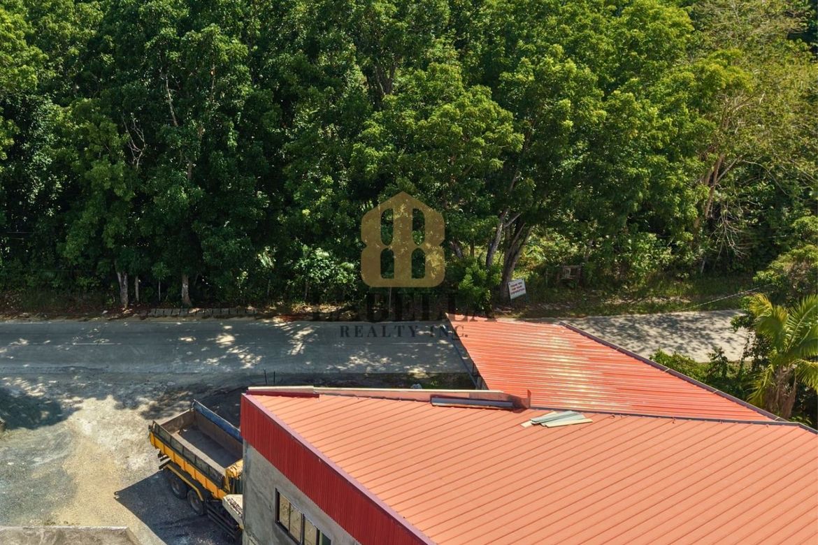 Land for Sale in Salvador, Cortes, Bohol – photo 3