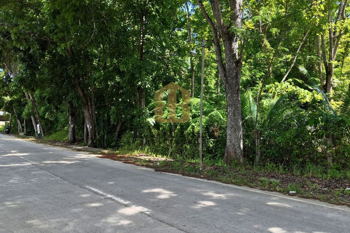 Land for Sale in Salvador, Cortes, Bohol – photo 5