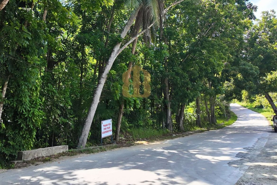 Land for Sale in Salvador, Cortes, Bohol – photo 6