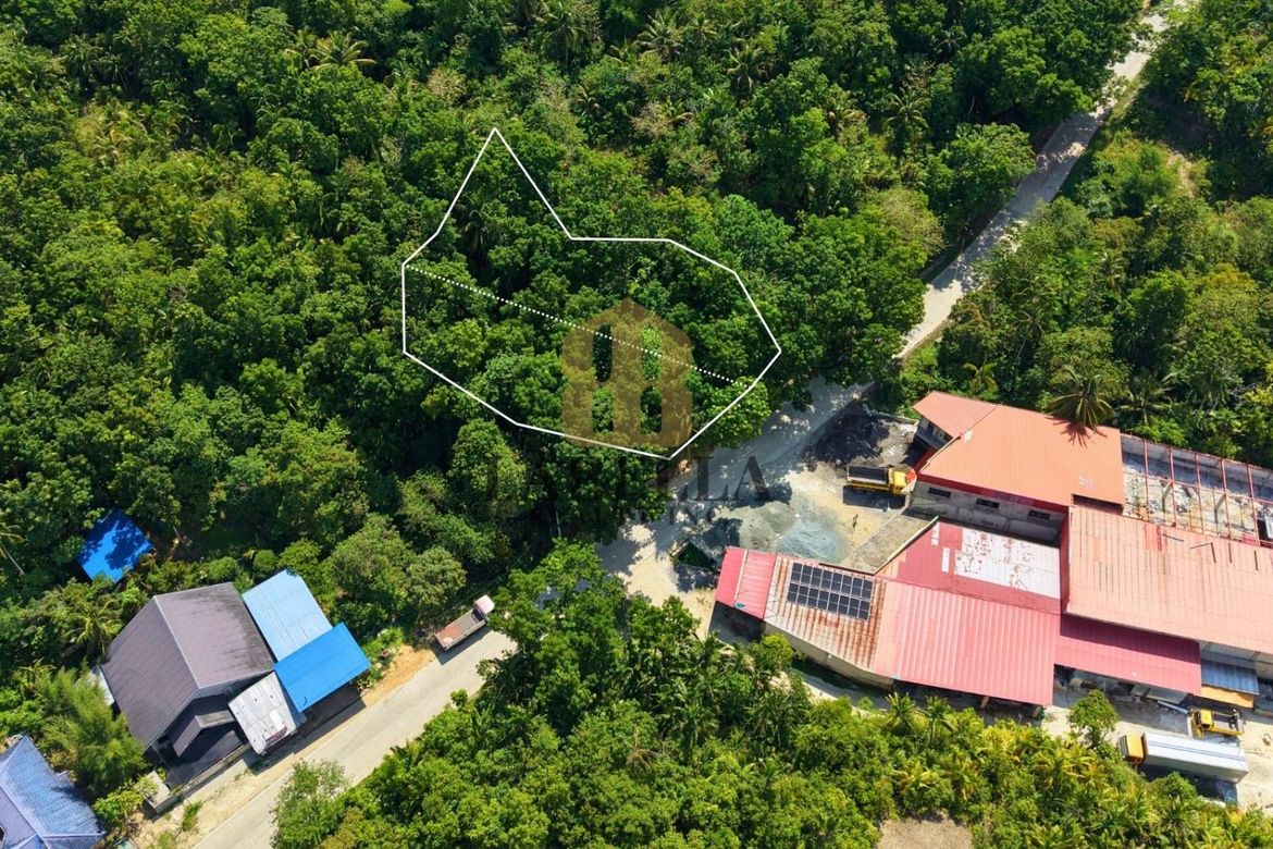 Land for Sale in Salvador, Cortes, Bohol – photo 8