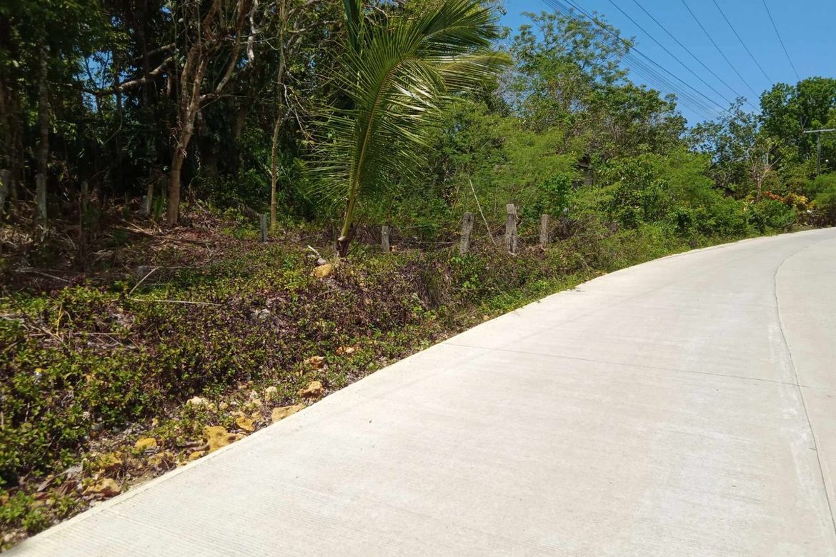Land for Sale in Sambog, Corella, Bohol – photo 3