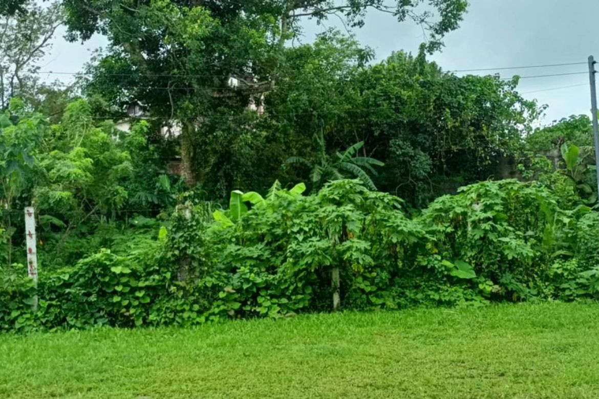Land for Sale in Sambong, Tagaytay, Cavite – photo 5
