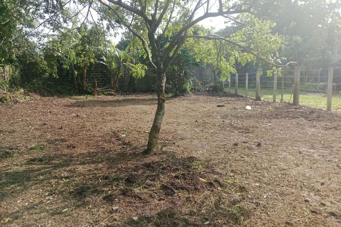 Land for Sale in Sambong, Tagaytay, Cavite – photo 6
