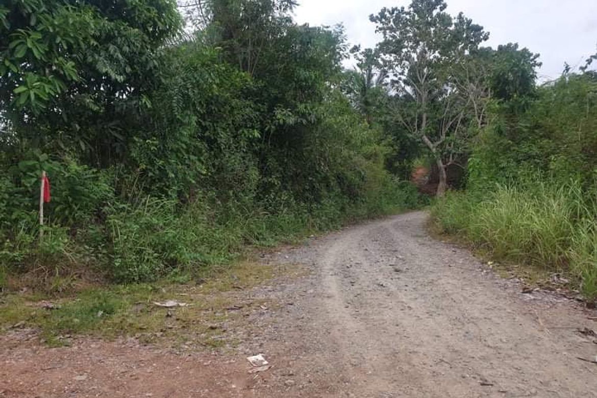 Land for Sale in Sambulawan, El Salvador, Misamis Oriental – photo 4