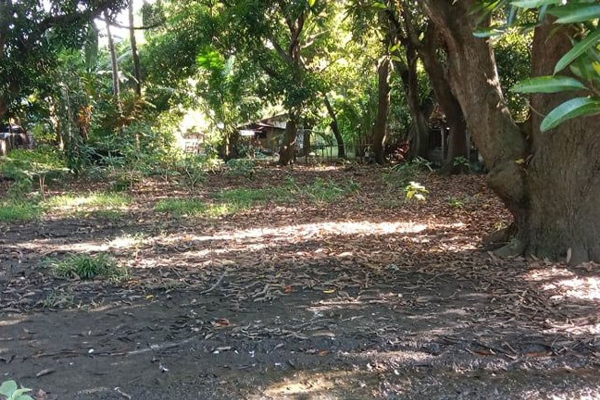 Land for Sale in Sambungan, Calatagan, Batangas