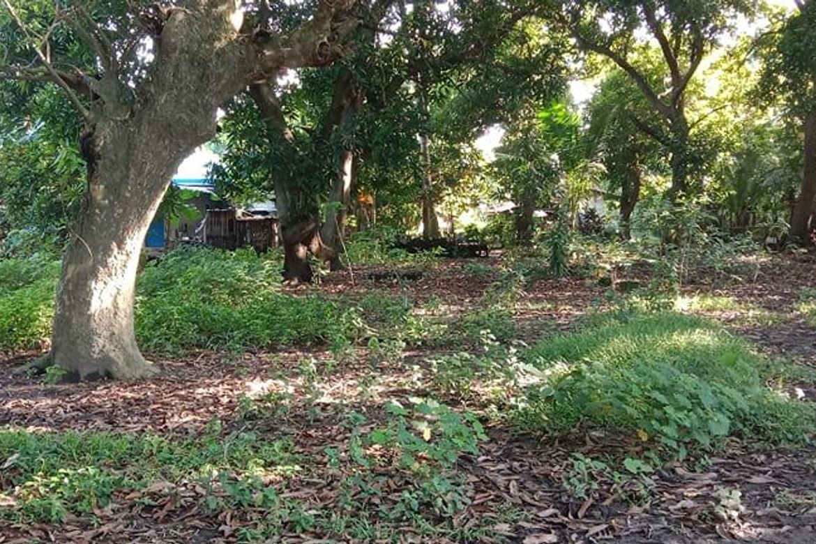 Land for Sale in Sambungan, Calatagan, Batangas – photo 3