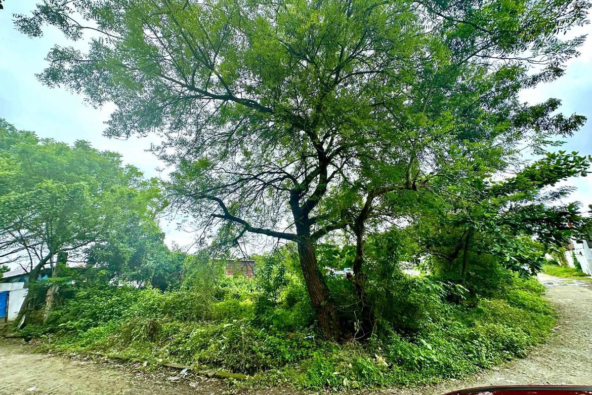 Land for Sale in Sampaloc II, Dasmariñas, Cavite – photo 7