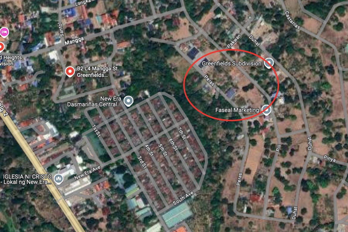Land for Sale in Sampaloc II, Dasmariñas, Cavite – photo 8