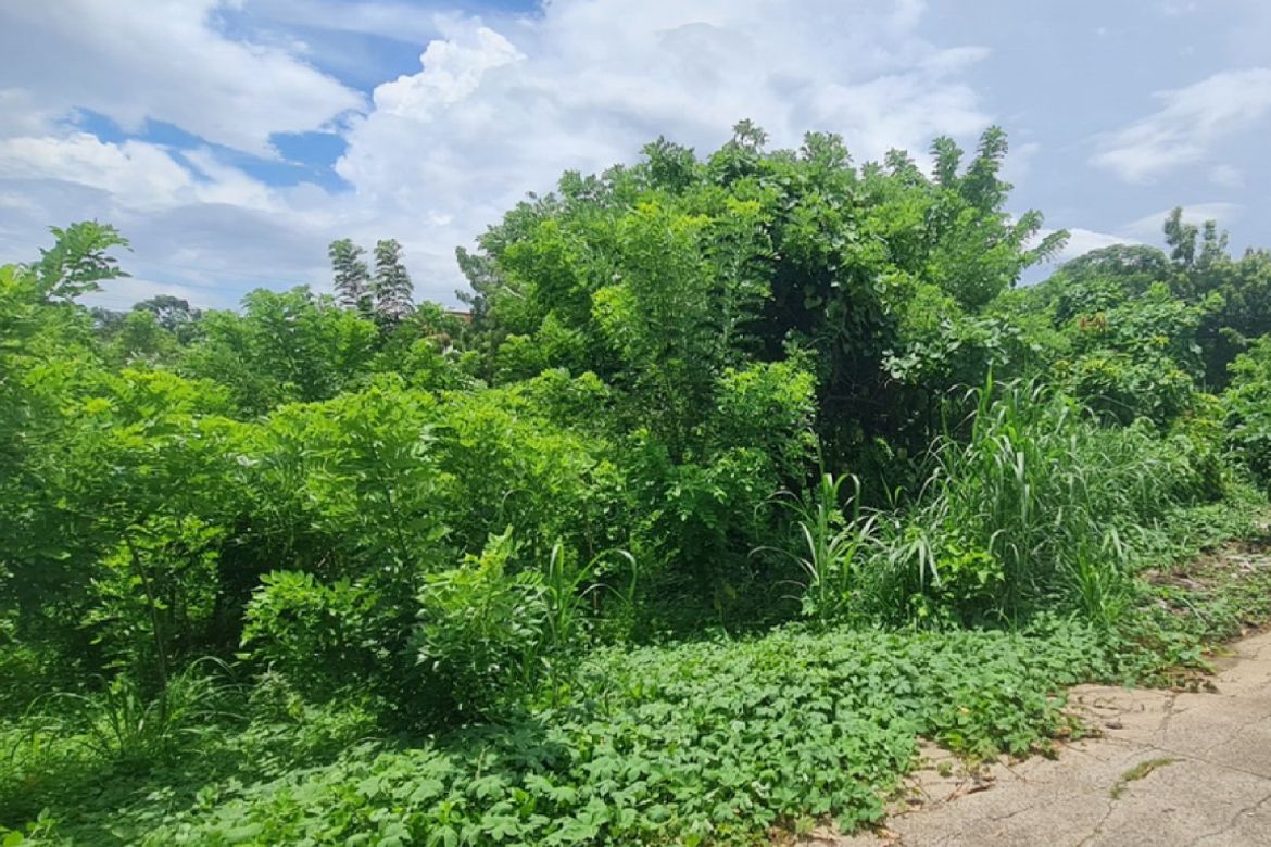 Land for Sale in Sampaloc II, Dasmariñas, Cavite