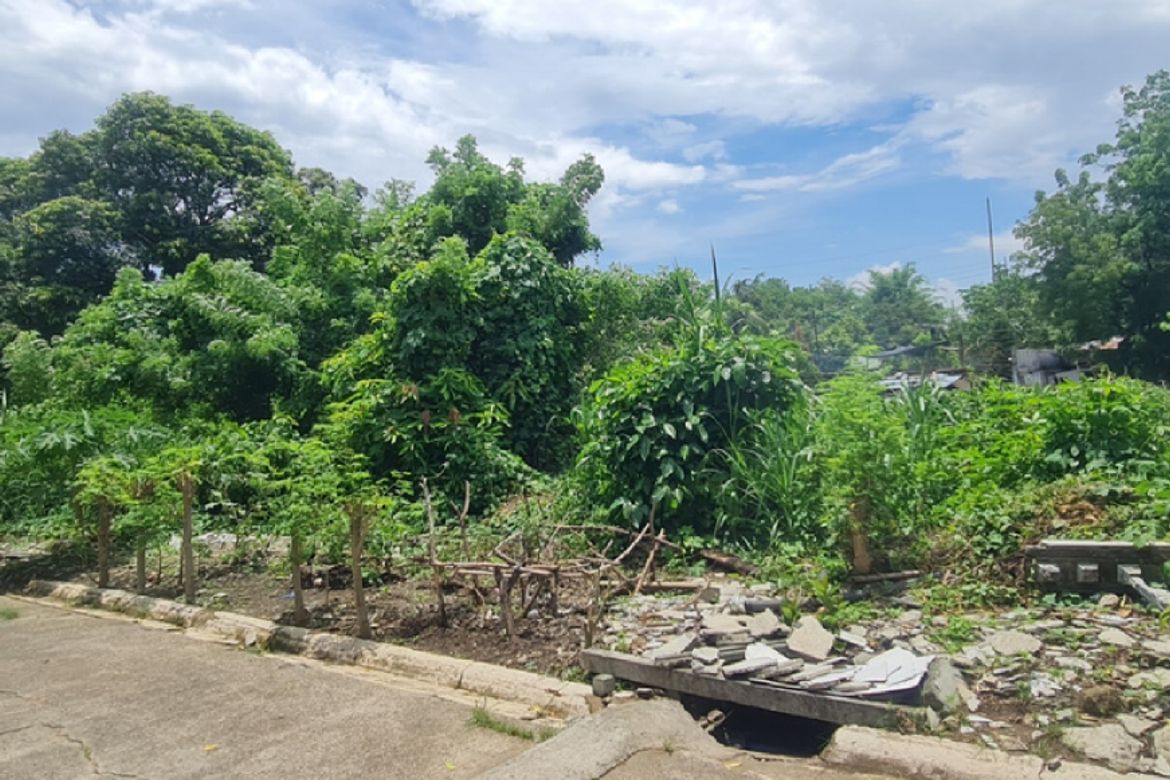 Land for Sale in Sampaloc II, Dasmariñas, Cavite – photo 2