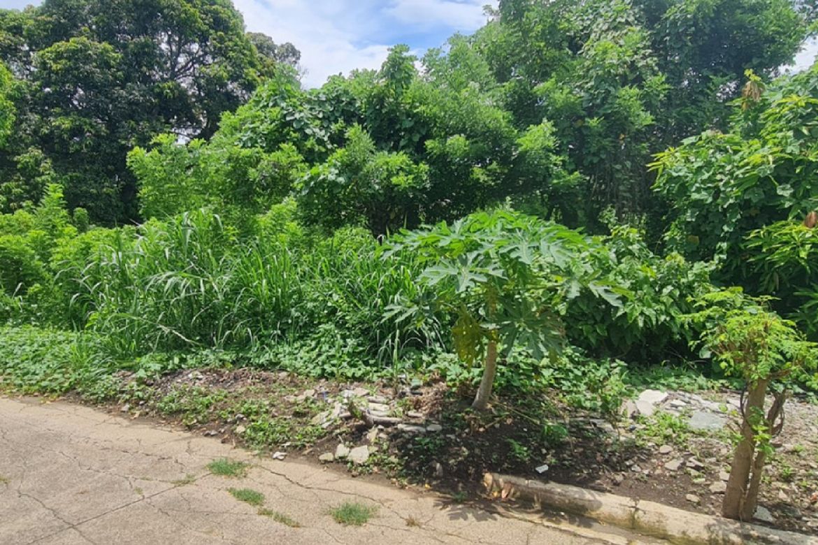 Land for Sale in Sampaloc II, Dasmariñas, Cavite – photo 3