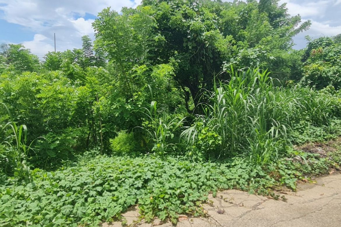 Land for Sale in Sampaloc II, Dasmariñas, Cavite – photo 4