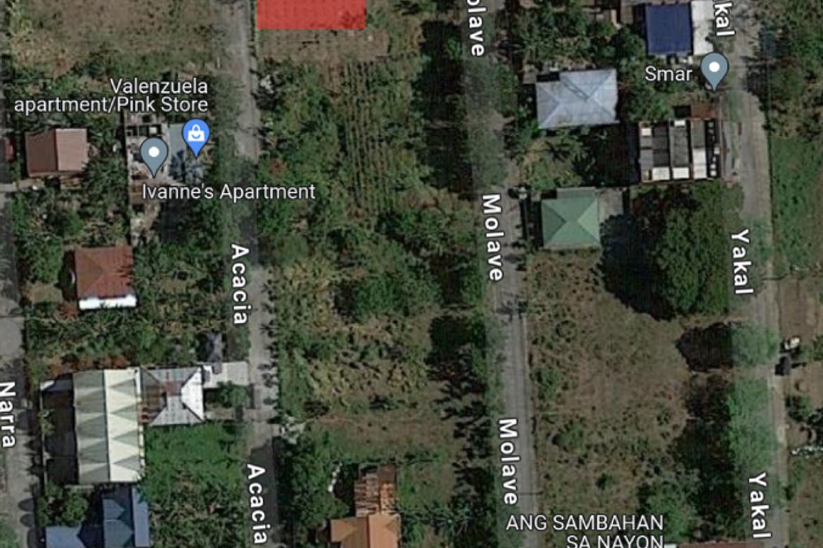 Land for Sale in Sampaloc II, Dasmariñas, Cavite – photo 5