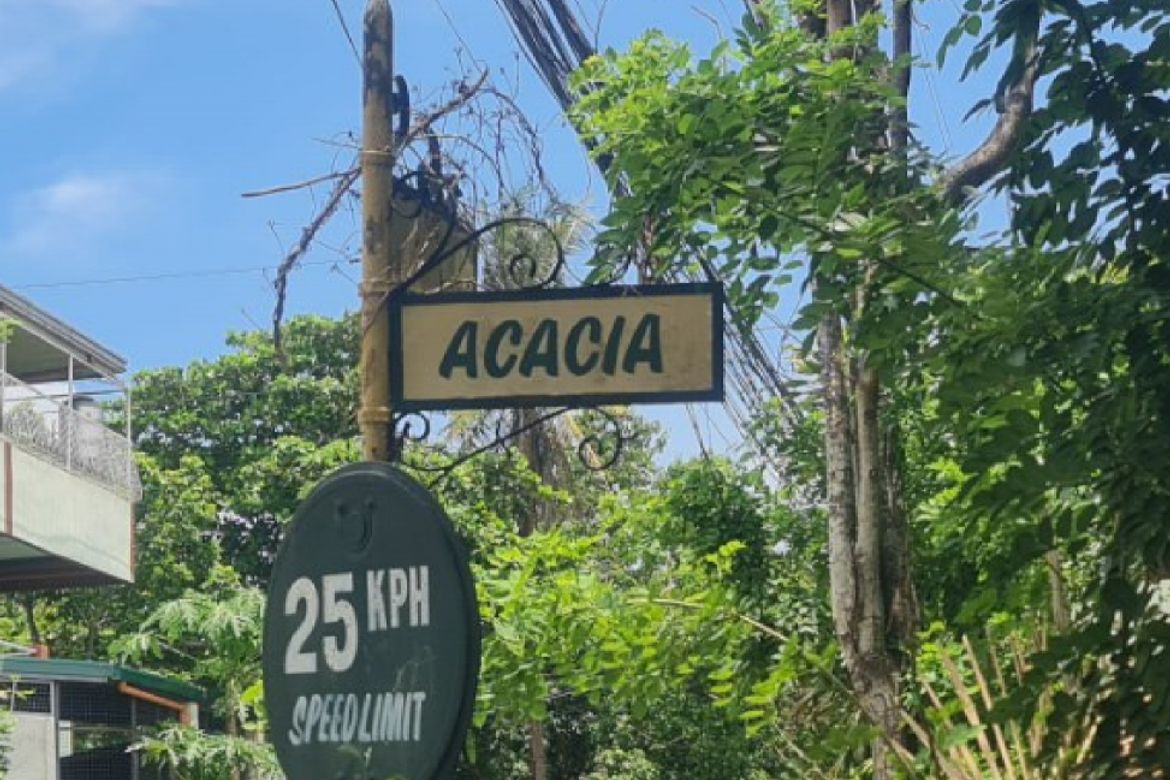 Land for Sale in Sampaloc II, Dasmariñas, Cavite – photo 8