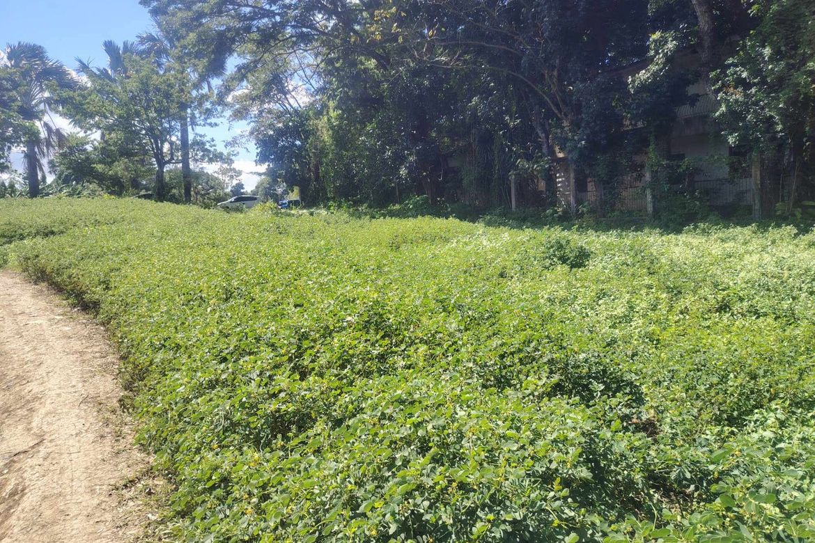 Land for Sale in Sampaloc II, Dasmariñas, Cavite