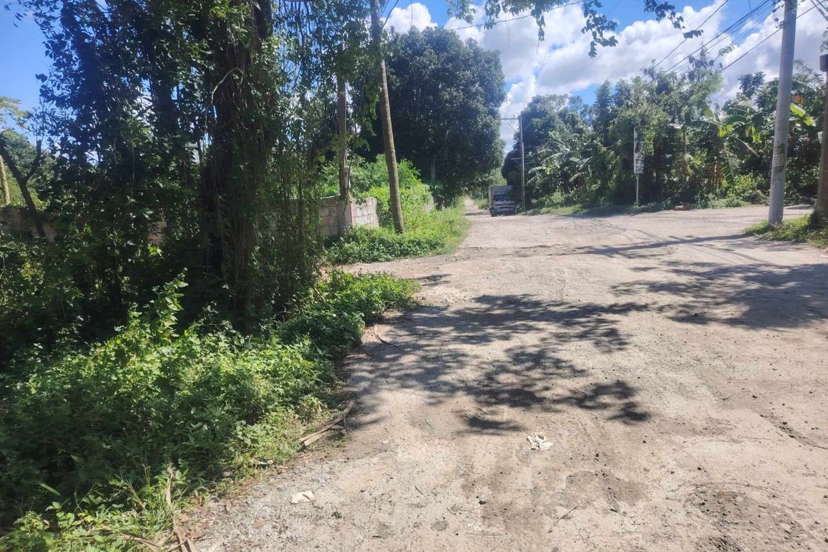 Land for Sale in Sampaloc II, Dasmariñas, Cavite – photo 3