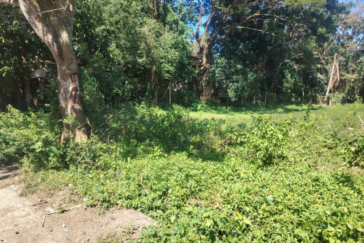 Land for Sale in Sampaloc II, Dasmariñas, Cavite – photo 4