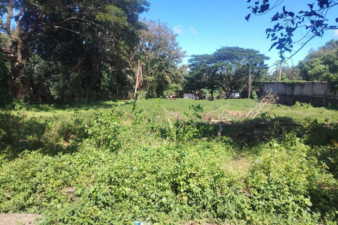 Land for Sale in Sampaloc II, Dasmariñas, Cavite – photo 5