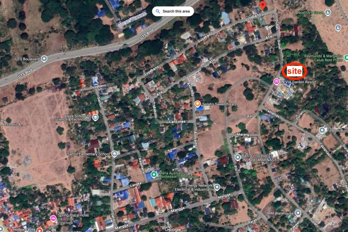 Land for Sale in Sampaloc II, Dasmariñas, Cavite – photo 2