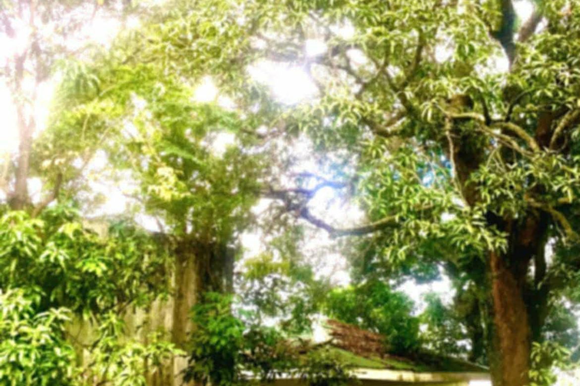 Land for Sale in Sampaloc II, Dasmariñas, Cavite – photo 2