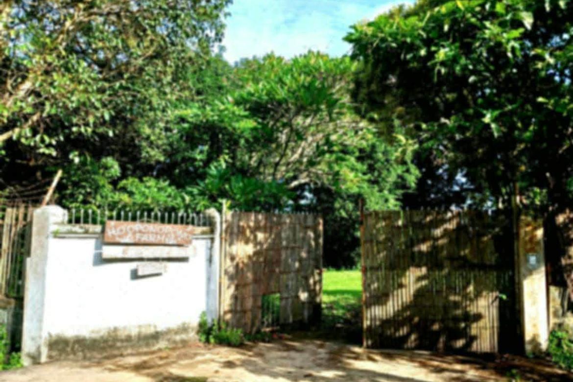 Land for Sale in Sampaloc II, Dasmariñas, Cavite – photo 3
