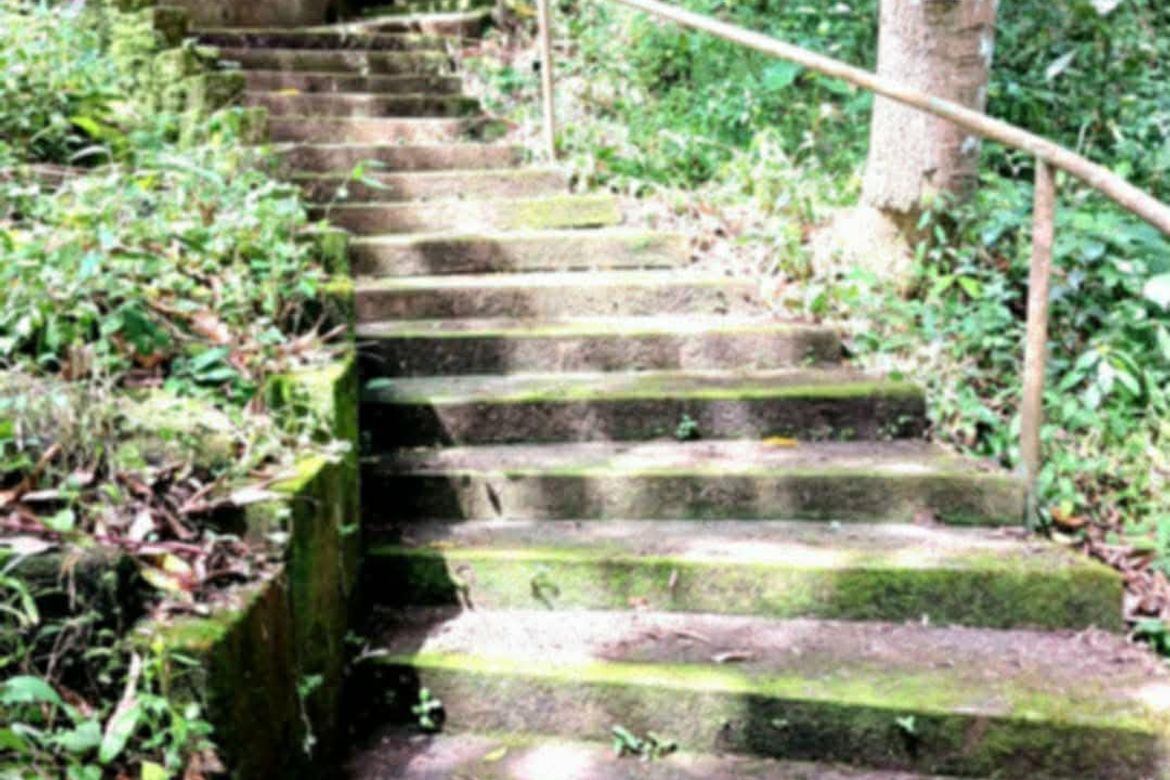 Land for Sale in Sampaloc II, Dasmariñas, Cavite – photo 5