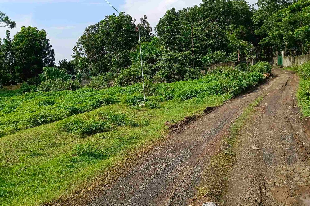 Land for Sale in Sampaloc II, Dasmariñas, Cavite – photo 2