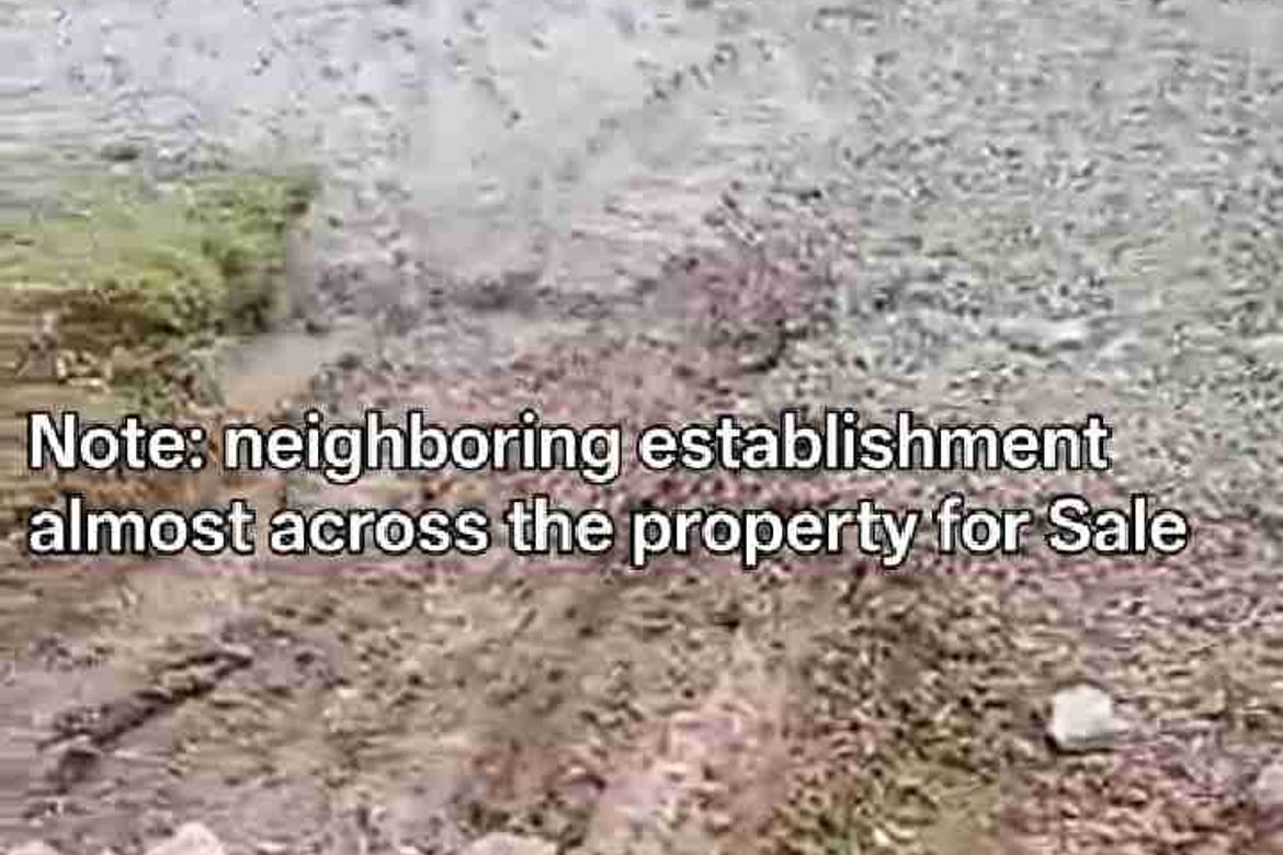 Land for Sale in Sampaloc II, Dasmariñas, Cavite – photo 6