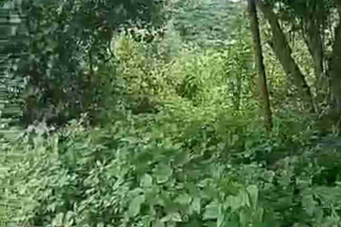 Land for Sale in Sampaloc II, Dasmariñas, Cavite – photo 7