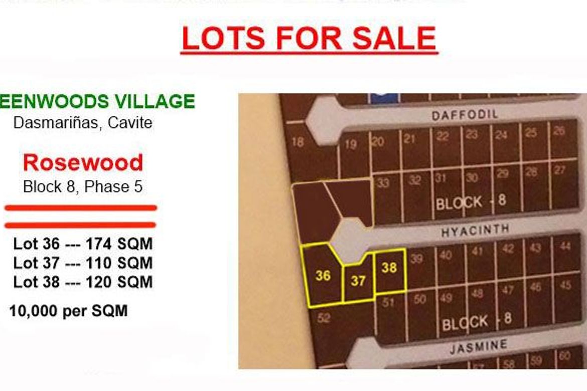 Land for Sale in Sampaloc III, Dasmariñas, Cavite – photo 2