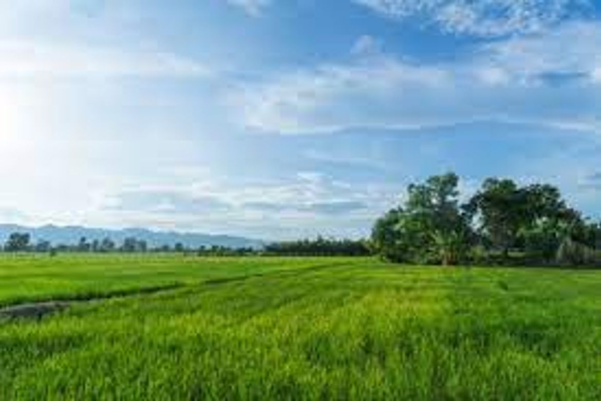 Land for Sale in Sampaloc IV, Dasmariñas, Cavite – photo 2