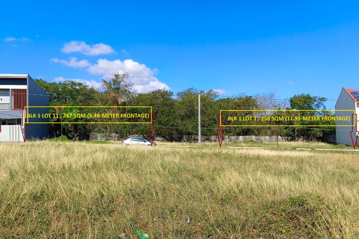 Land for Sale in Sampaloc IV, Dasmariñas, Cavite – photo 2