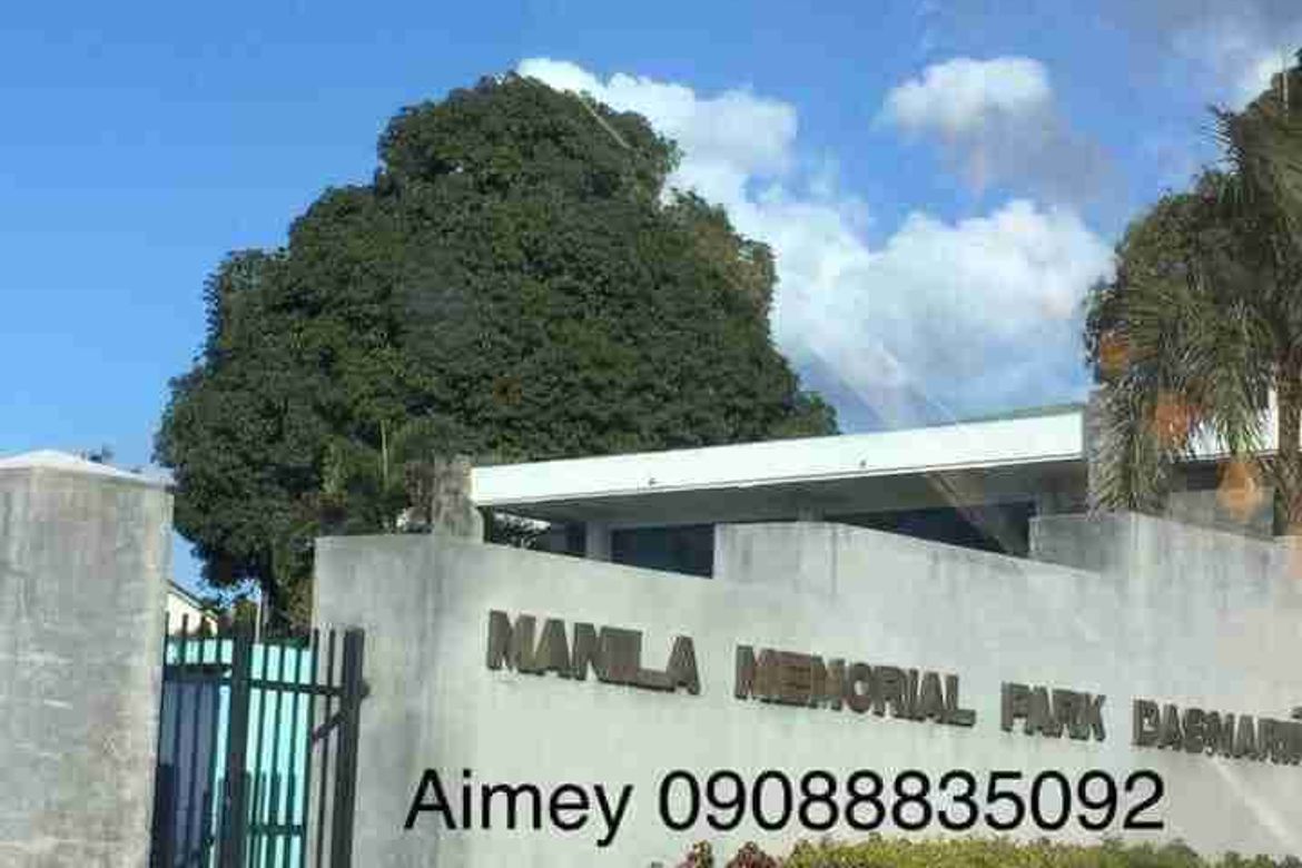 Land for Sale in Sampaloc IV, Dasmariñas, Cavite – photo 3