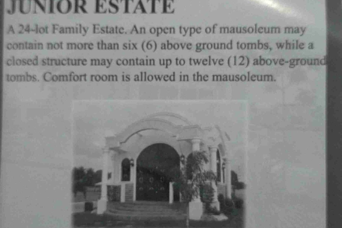 Land for Sale in Sampaloc IV, Dasmariñas, Cavite – photo 6