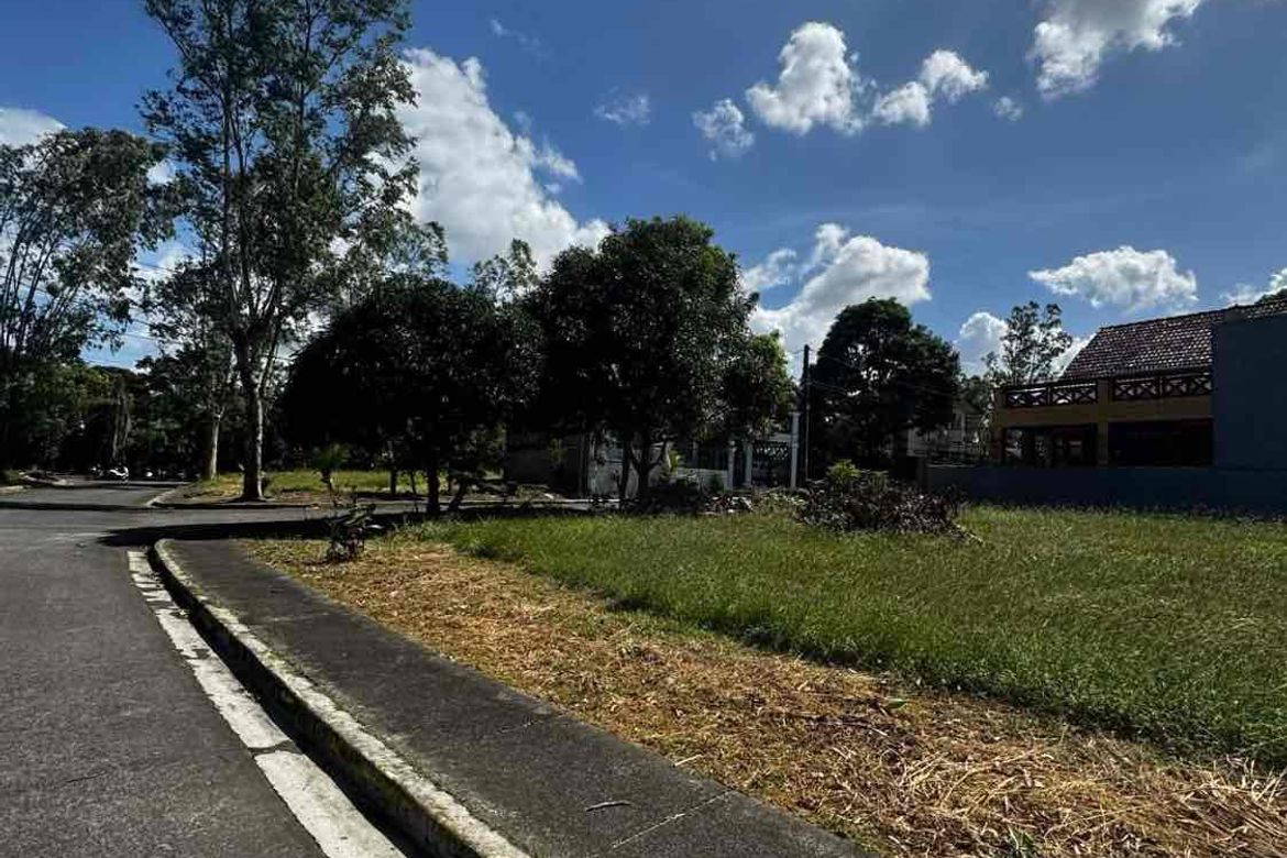 Land for Sale in Sampaloc IV, Dasmariñas, Cavite – photo 4