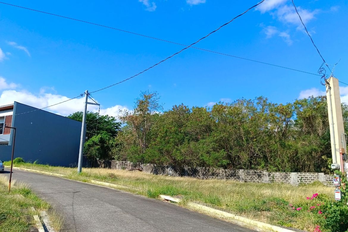Land for Sale in Sampaloc IV, Dasmariñas, Cavite – photo 6