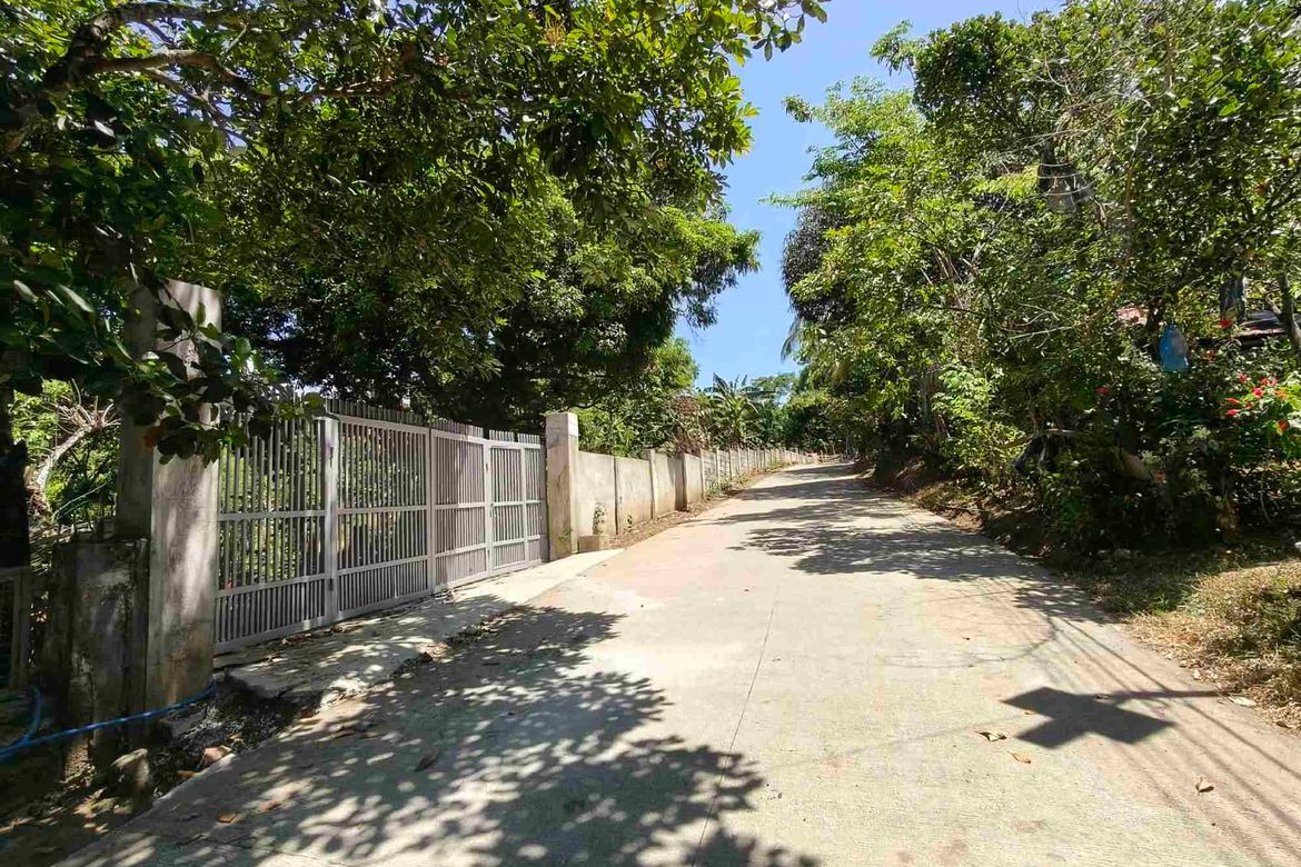 Land for Sale in Sampaloc, Tanay, Rizal – photo 2