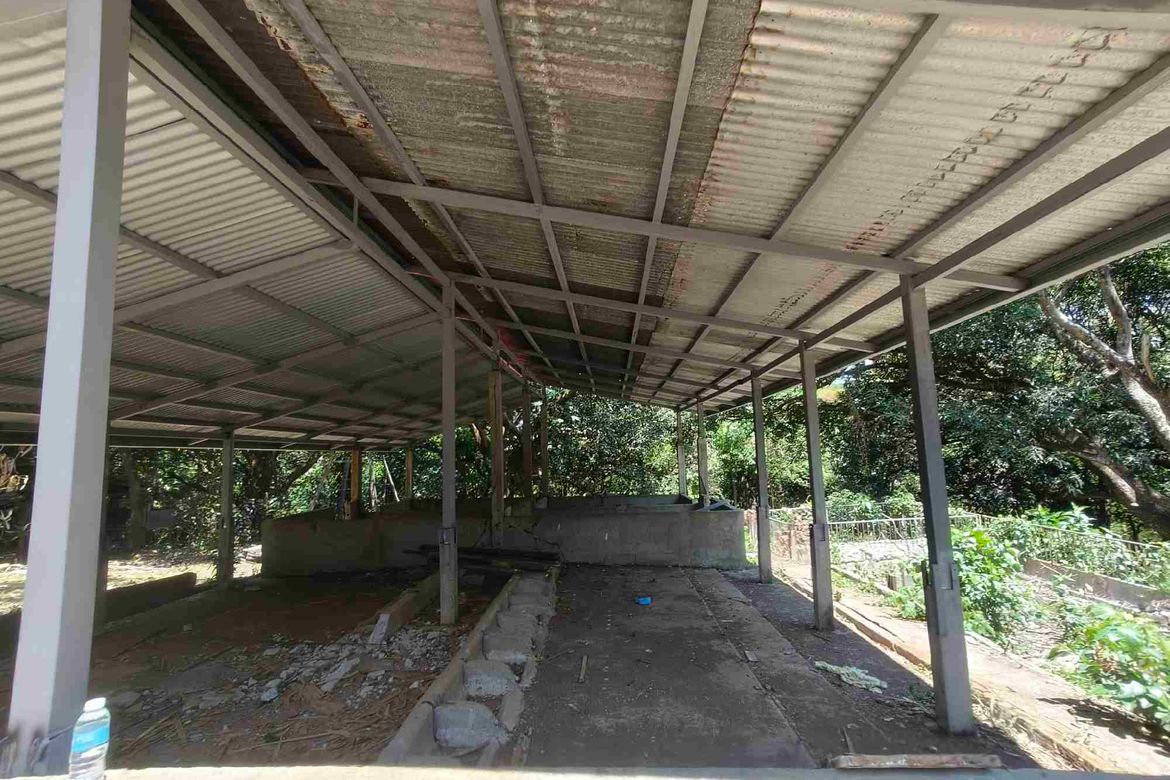 Land for Sale in Sampaloc, Tanay, Rizal – photo 4