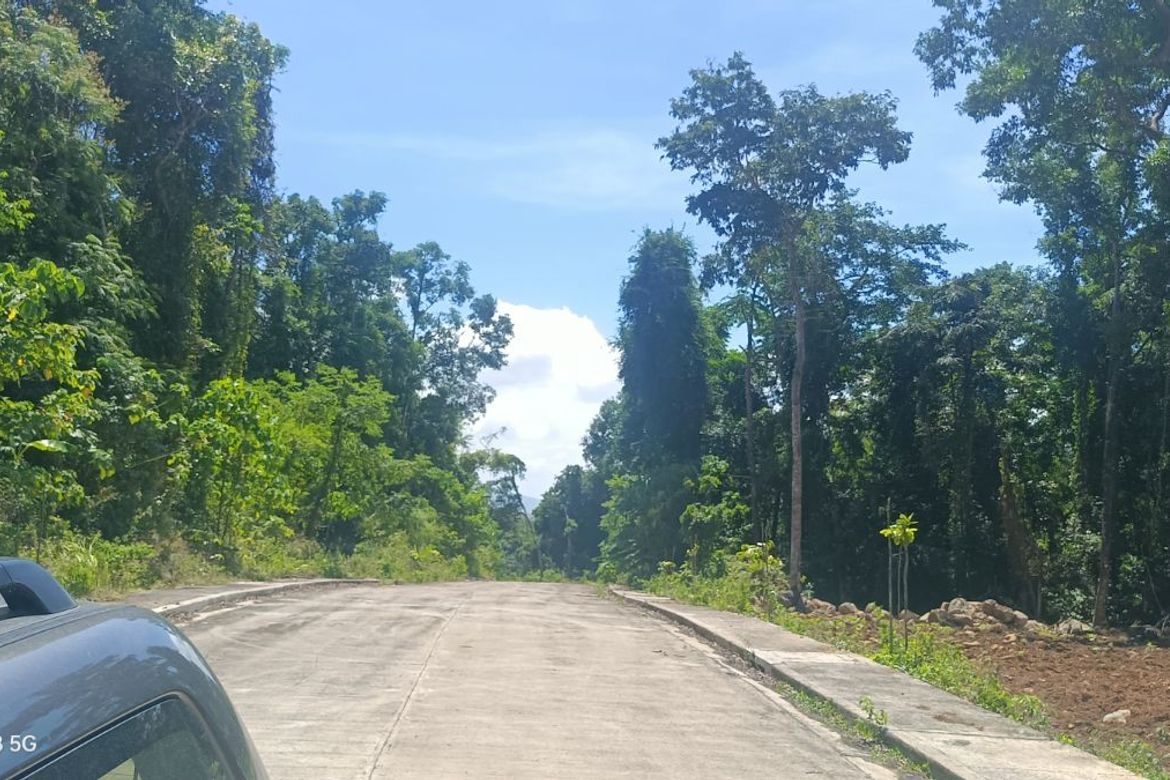 Land for Sale in Sampaloc, Tanay, Rizal – photo 5