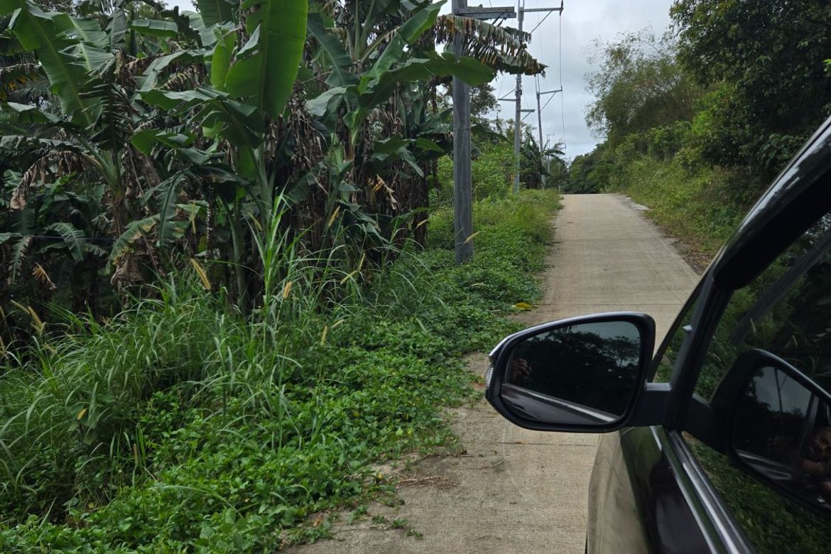 Land for Sale in Sampaloc, Tanay, Rizal – photo 6