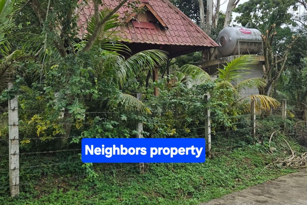 Land for Sale in Sampaloc, Tanay, Rizal – photo 8
