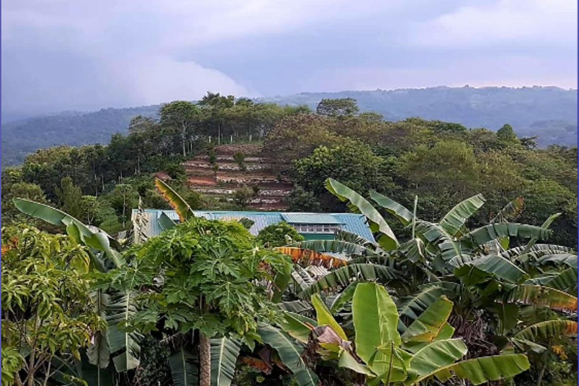 Land for Sale in Sampaloc, Tanay, Rizal – photo 2