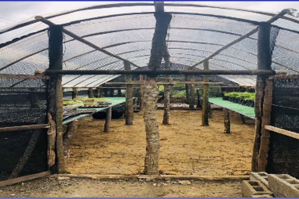 Land for Sale in Sampaloc, Tanay, Rizal – photo 4