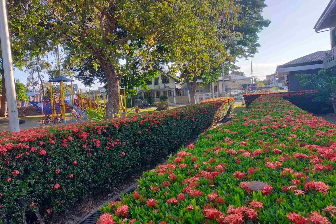 Land for Sale in San Agustin I, Dasmariñas, Cavite – photo 5