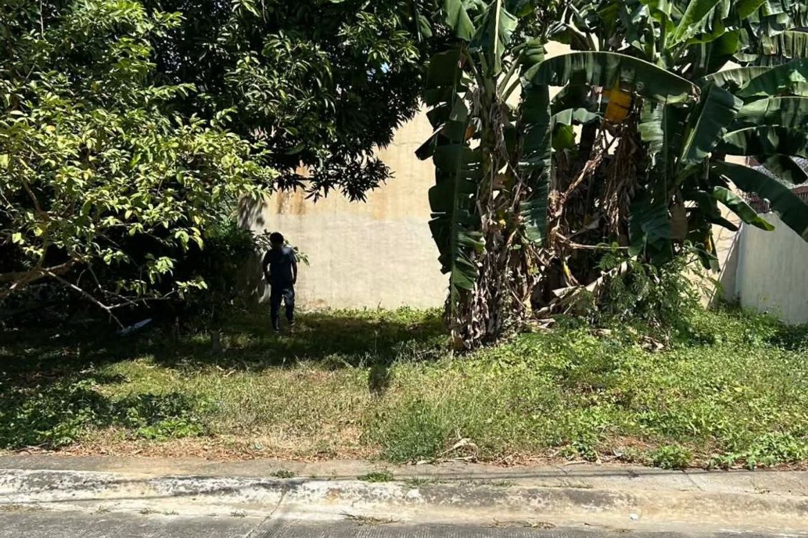 Land for Sale in San Agustin I, Dasmariñas, Cavite – photo 2