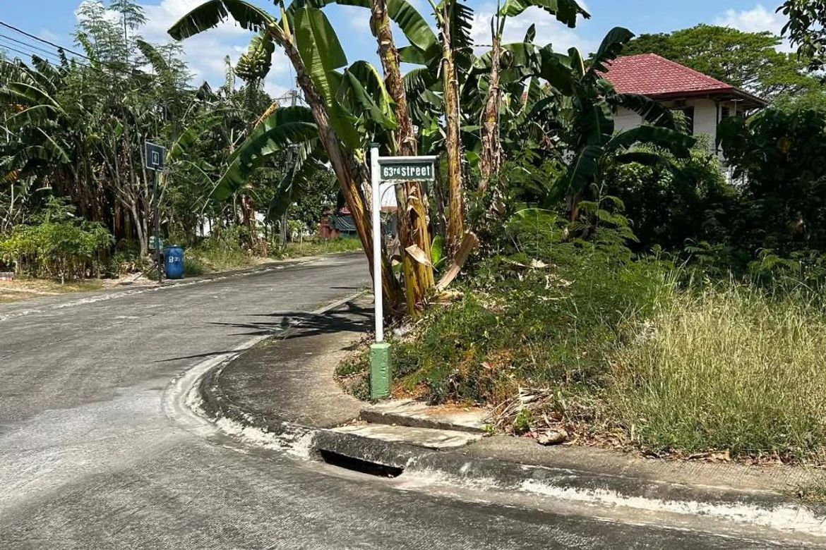 Land for Sale in San Agustin I, Dasmariñas, Cavite – photo 3