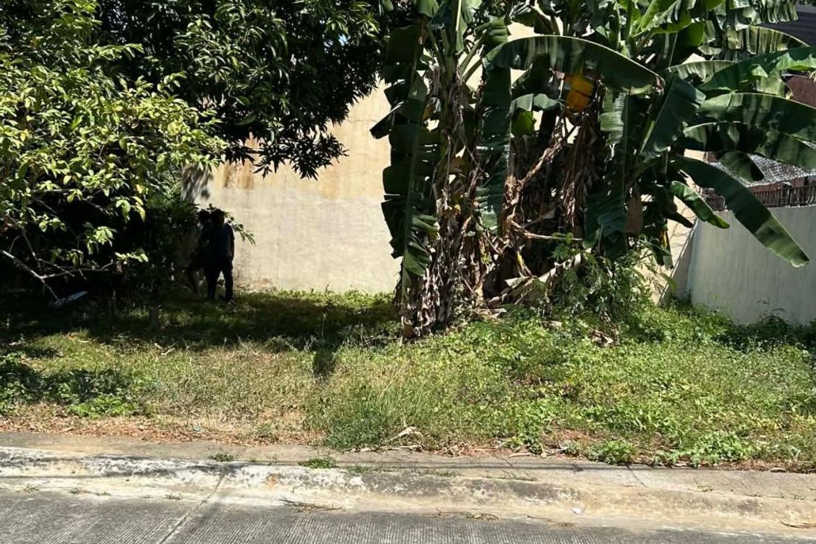 Land for Sale in San Agustin I, Dasmariñas, Cavite – photo 4