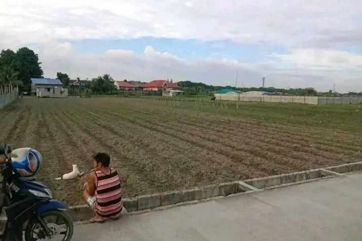 Land for Sale in San Agustin, Magalang, Pampanga